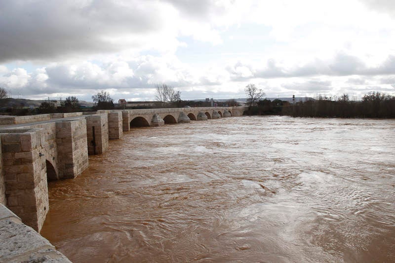 El río Pisuerga a su paso por Torquemada.