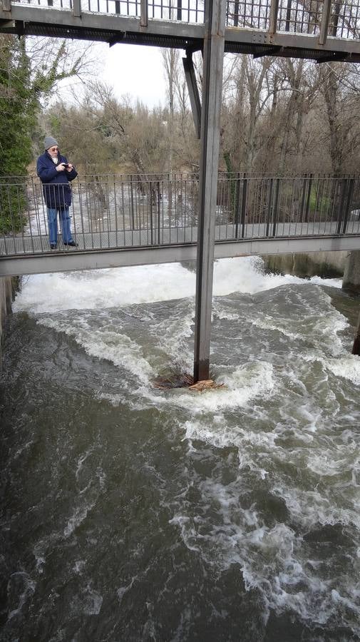 El caudal del Esgueva sigue creciendo a su paso por Valladolid