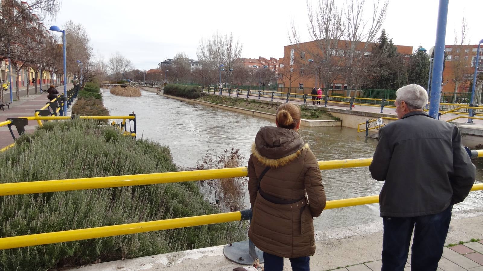 El caudal del Esgueva sigue creciendo a su paso por Valladolid
