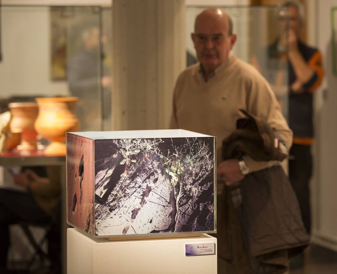 La Casa Revilla de Valladolid acoge la exposición &#039;El bestiario vacceo. VacceArte&#039;