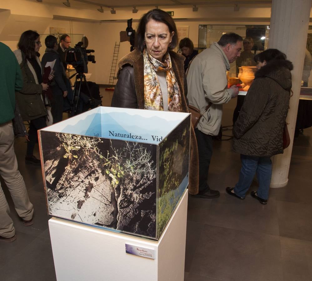 La Casa Revilla de Valladolid acoge la exposición &#039;El bestiario vacceo. VacceArte&#039;