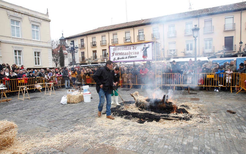 La matanza del cerdo protagoniza la fiesta de las Candelas en Palencia