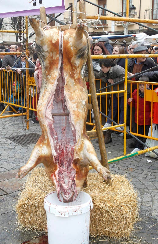 La matanza del cerdo protagoniza la fiesta de las Candelas en Palencia