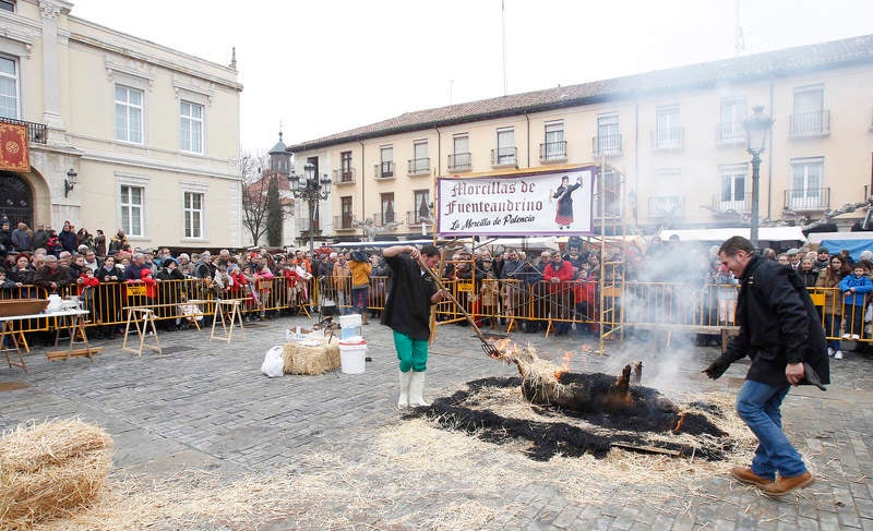 La matanza del cerdo protagoniza la fiesta de las Candelas en Palencia
