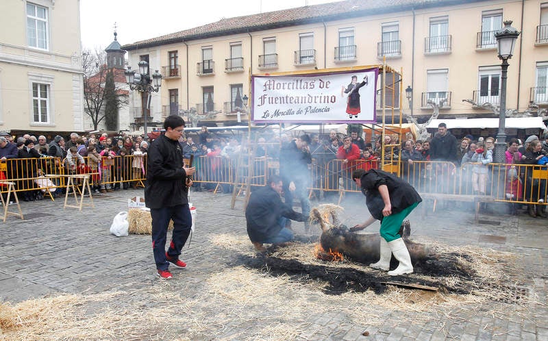 La matanza del cerdo protagoniza la fiesta de las Candelas en Palencia