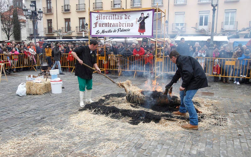 La matanza del cerdo protagoniza la fiesta de las Candelas en Palencia