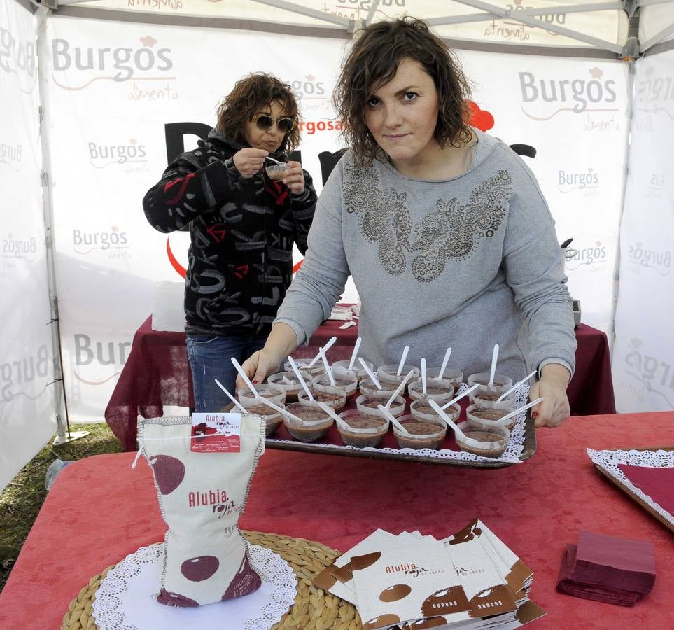 XXVIII Cros Internacional Ciudad de Valladolid (2/2)