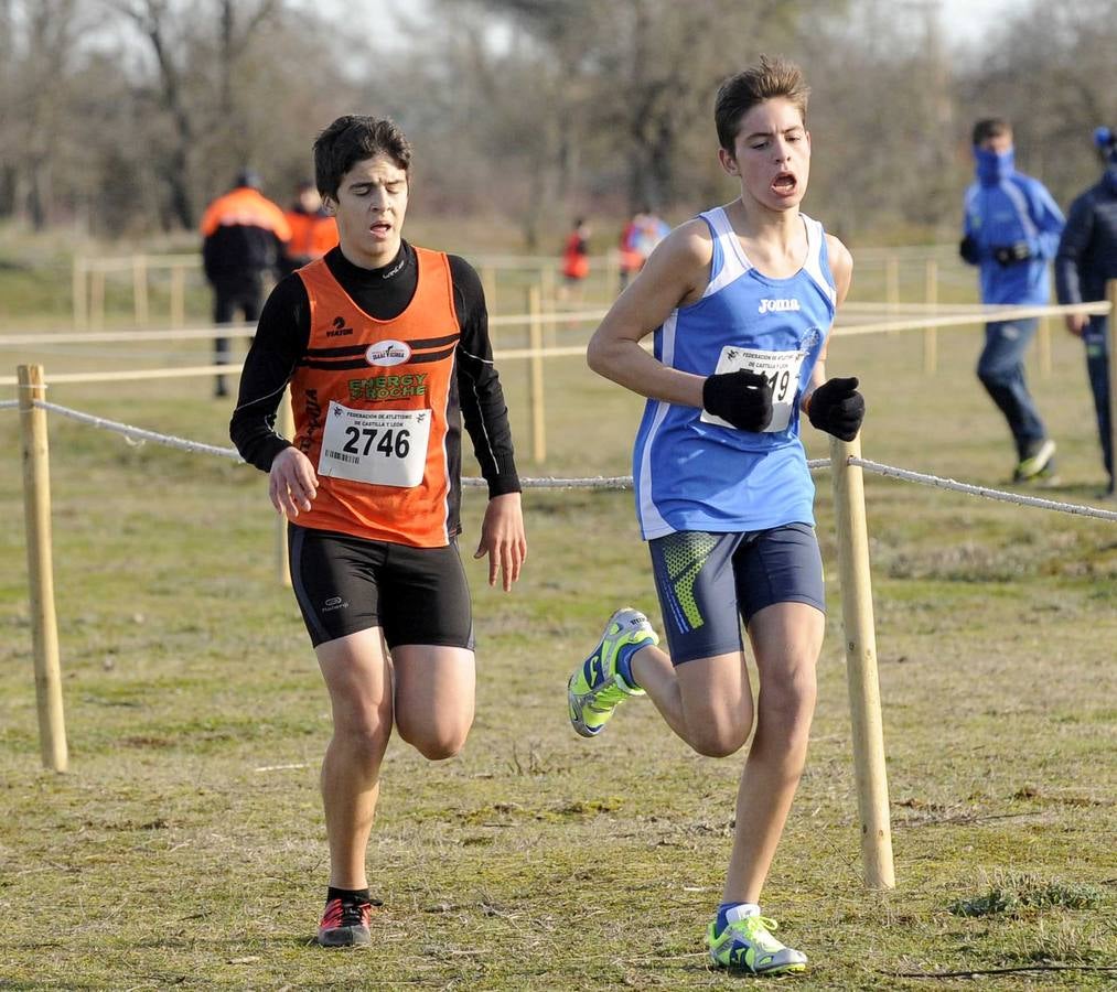 XXVIII Cros Internacional Ciudad de Valladolid (2/2)