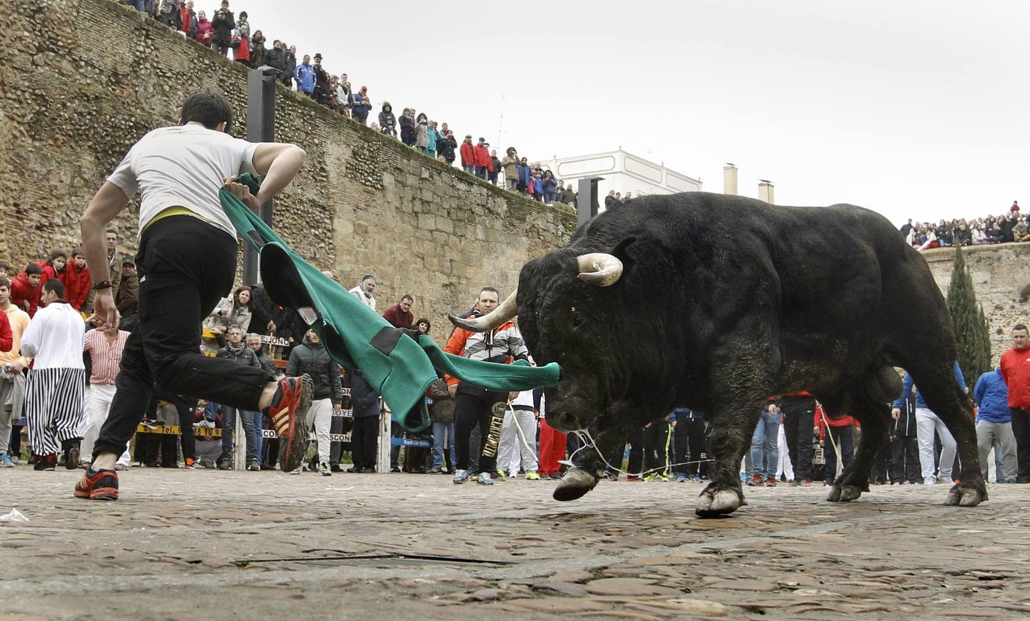 Jornada del lunes en el Carnaval del Toro de Ciudad Rodrigo (Salamanca)