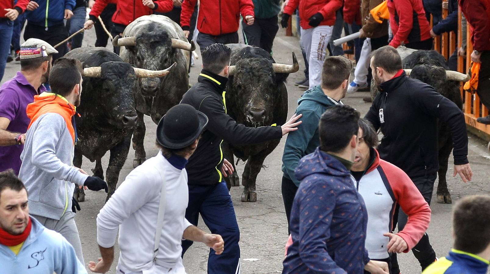 Jornada del lunes en el Carnaval del Toro de Ciudad Rodrigo (Salamanca)
