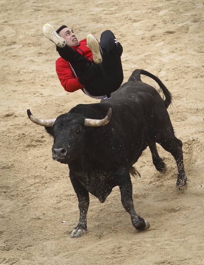 Jornada del lunes en el Carnaval del Toro de Ciudad Rodrigo (Salamanca)