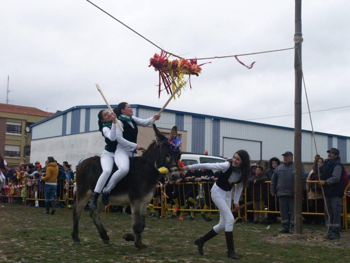 Carrera de cintas de los quintos de Pedrajas de San Esteban