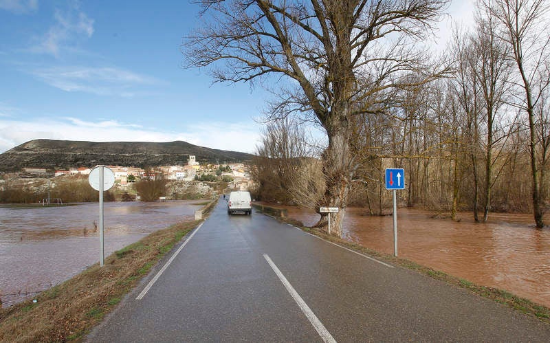 Desbordamiento del río Arlanza a su paso por Palenzuela (Palencia)