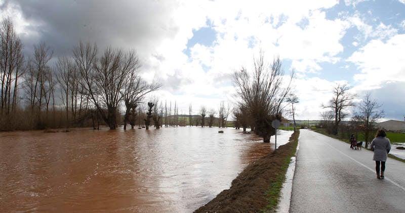 Desbordamiento del río Arlanza a su paso por Palenzuela (Palencia)