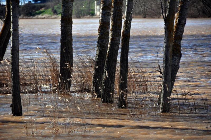 Río Duero en Tordesillas.