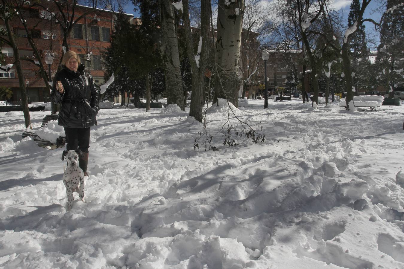 Parque cubierto de nieve en Guardo.