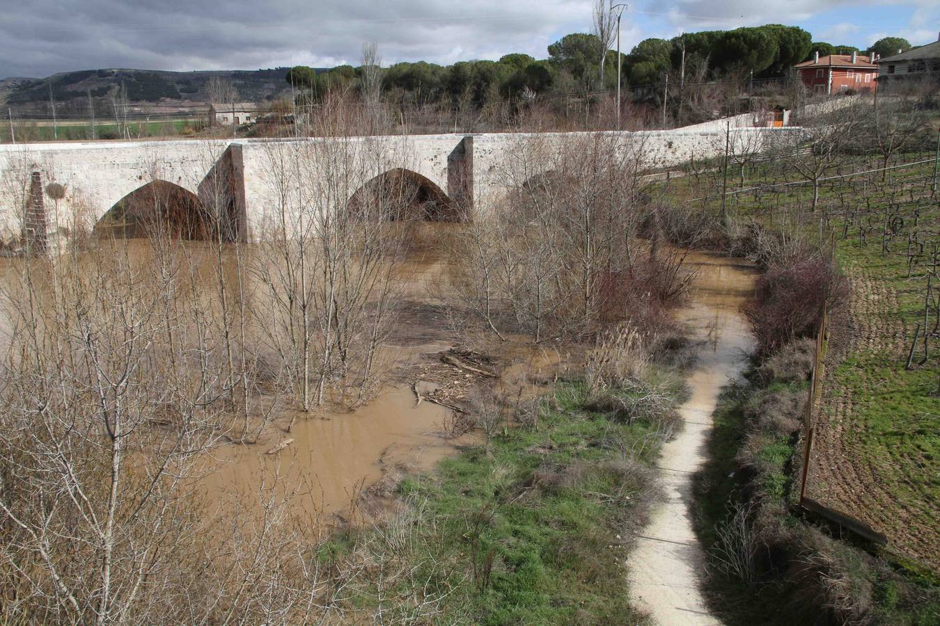 Peñafiel.