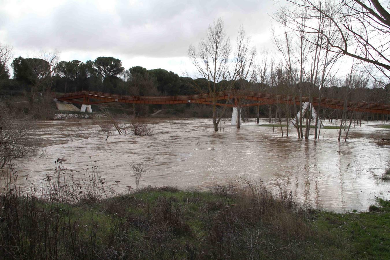 Pesquera de Duero.