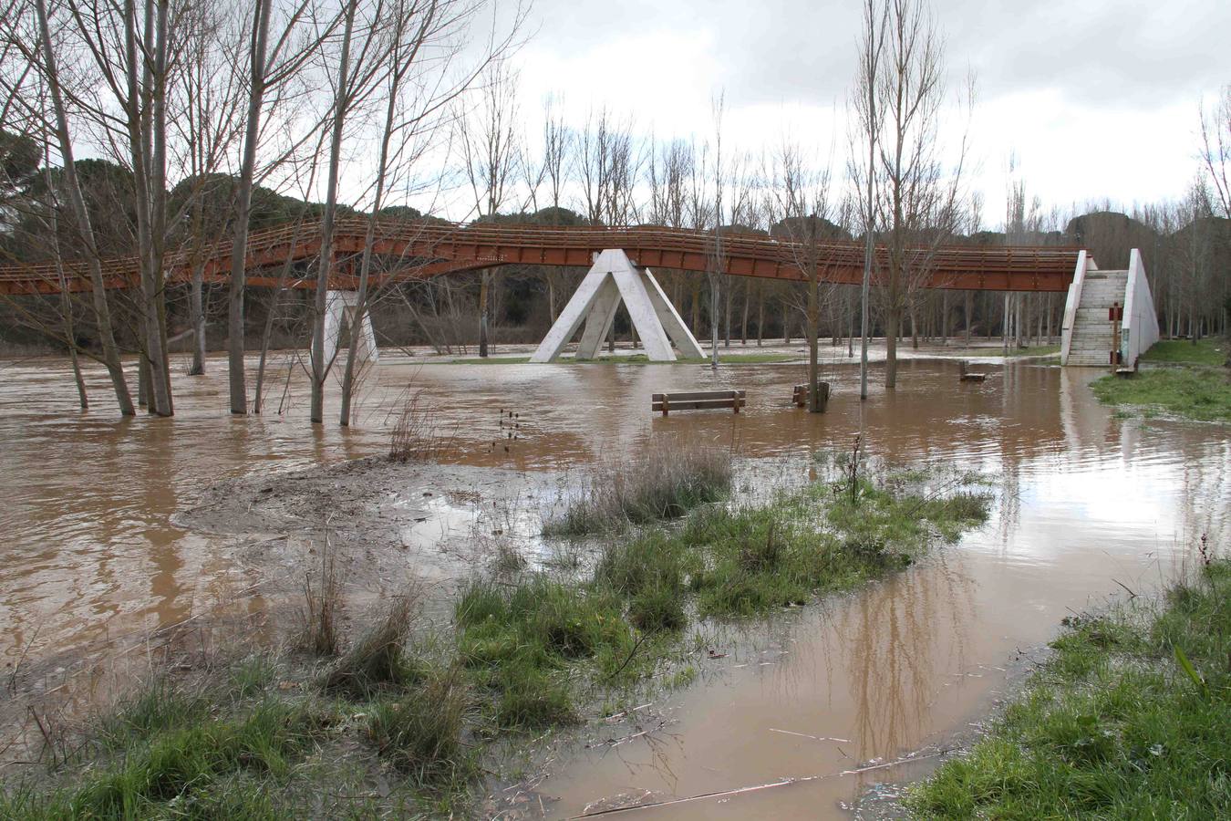 Pesquera de Duero.