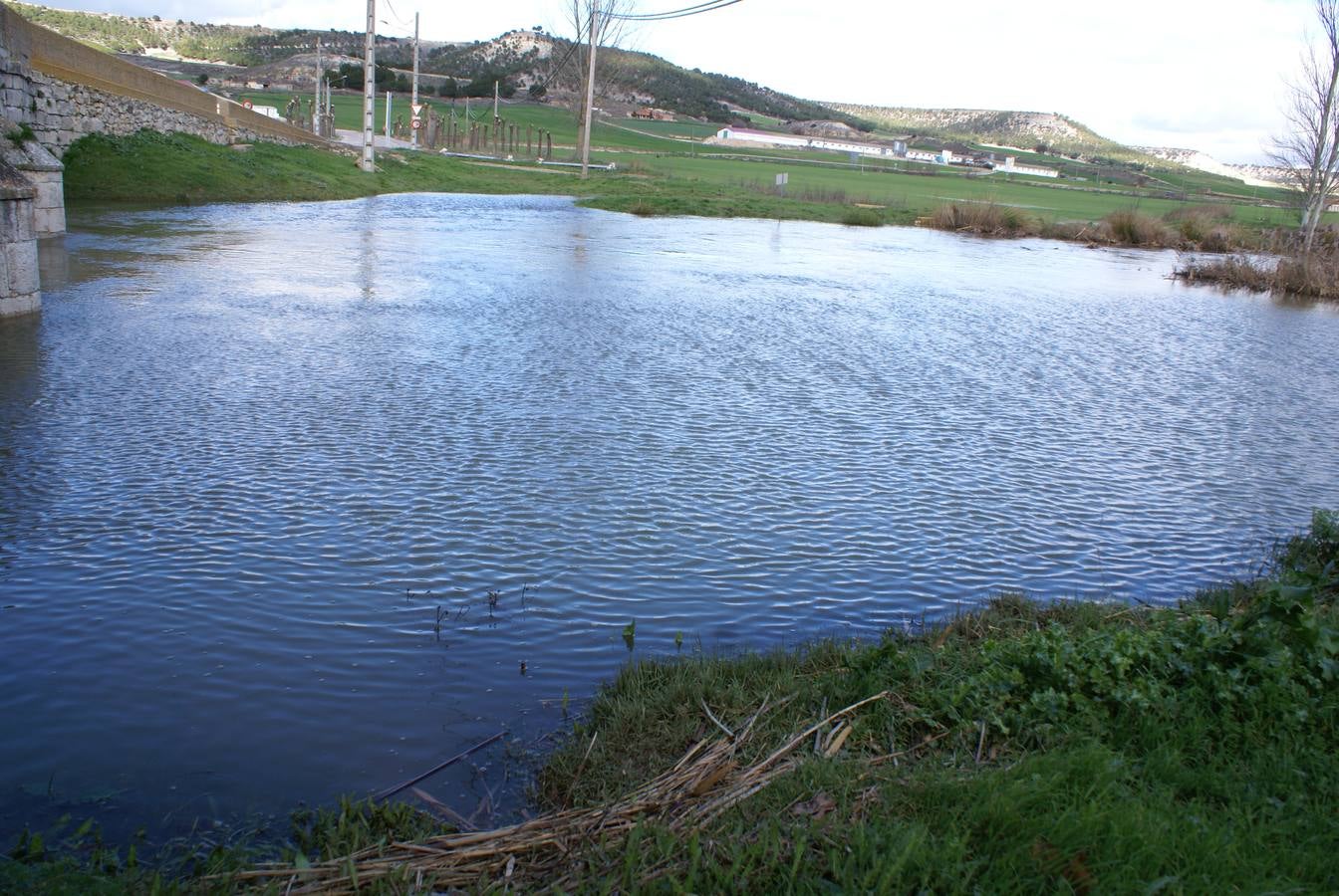 Olmos de Esgueva.