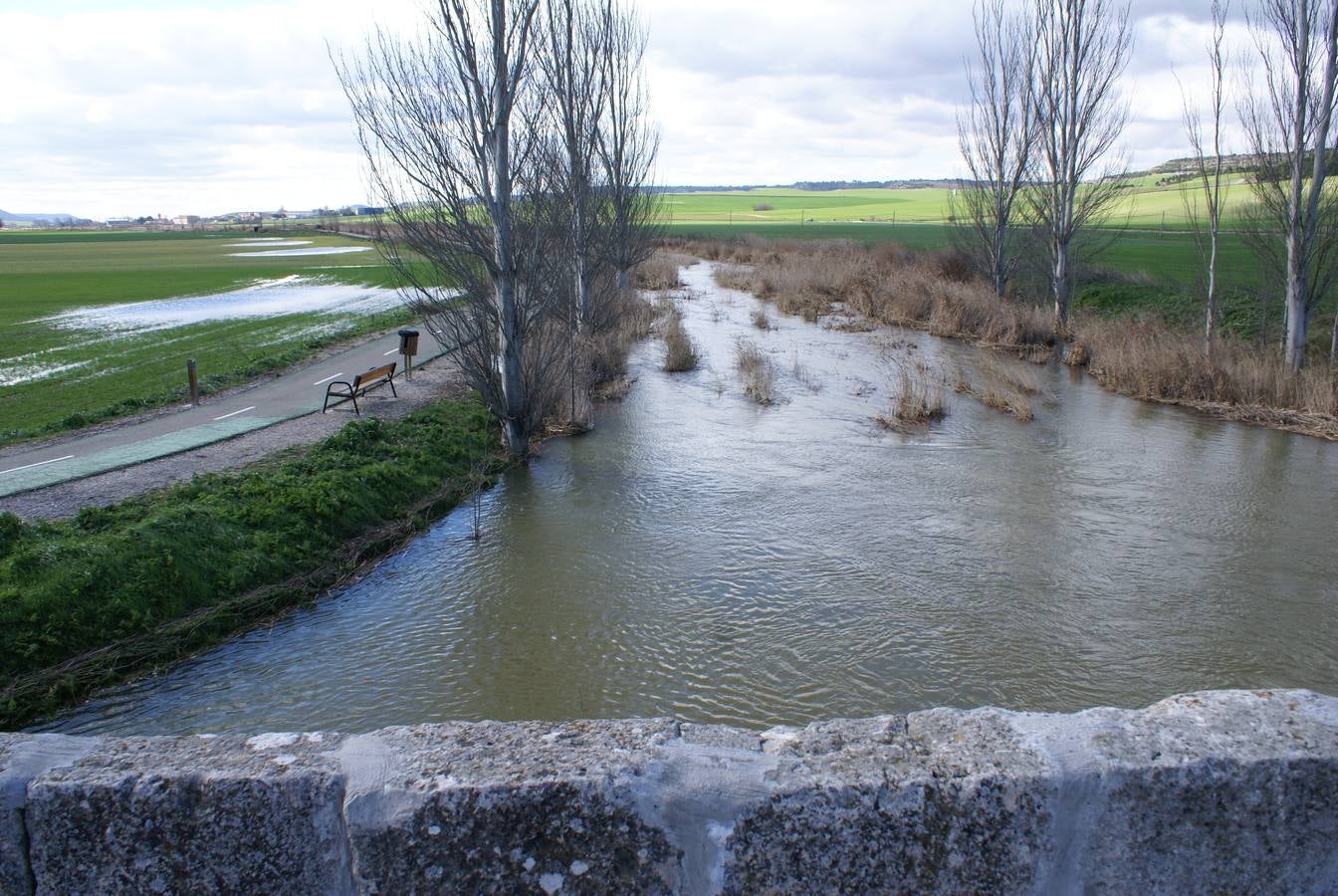 Olmos de Esgueva.