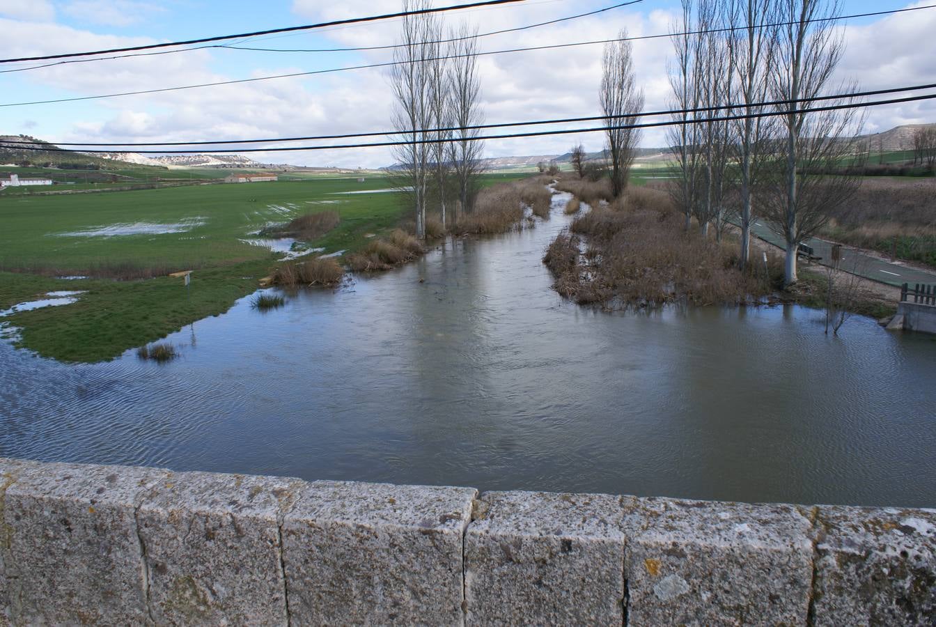 Olmos de Esgueva.