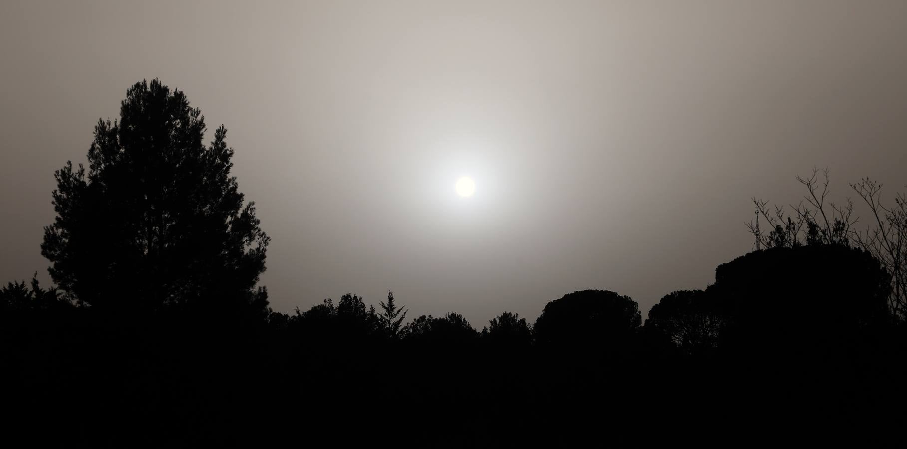 La calima cubre el cielo de Valladolid