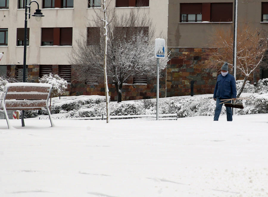 Segovia cubierta por la nieve (1/2)