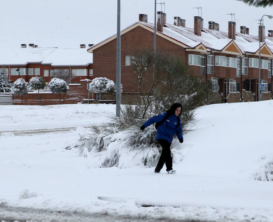 Segovia cubierta por la nieve (1/2)