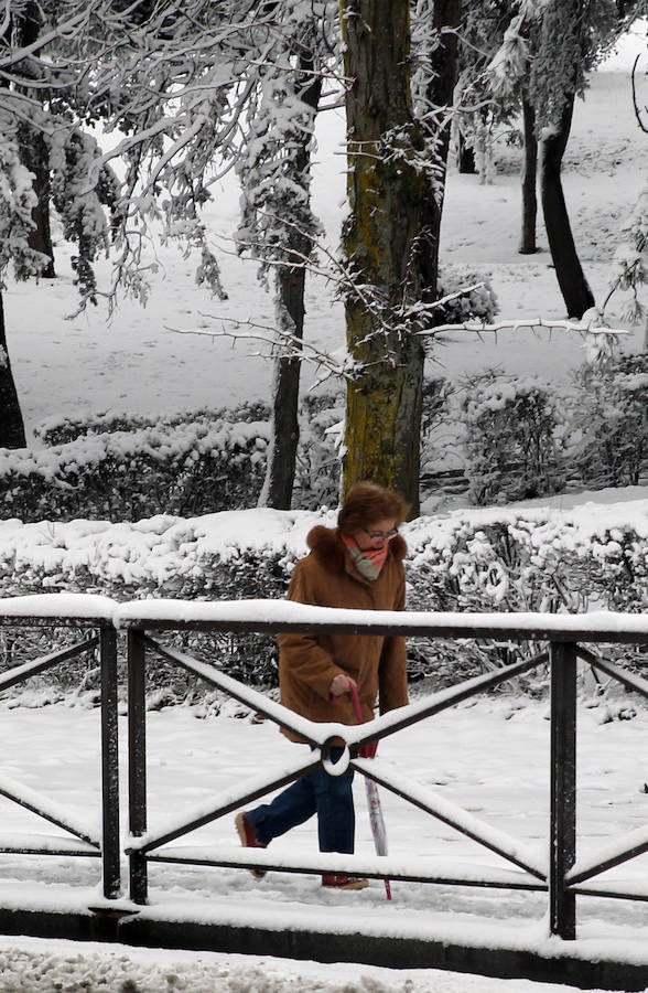 Segovia cubierta por la nieve (1/2)
