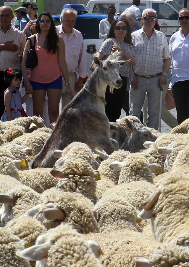 Visita virtual a la exposición &#039;Un año en imágenes 2015&#039; de Segovia (2/2)