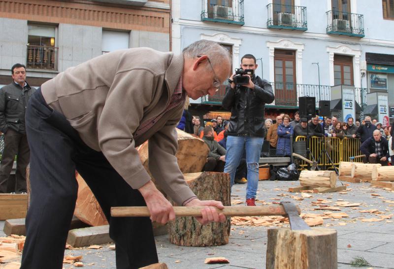 Fiesta de los gabarreros en Segovia