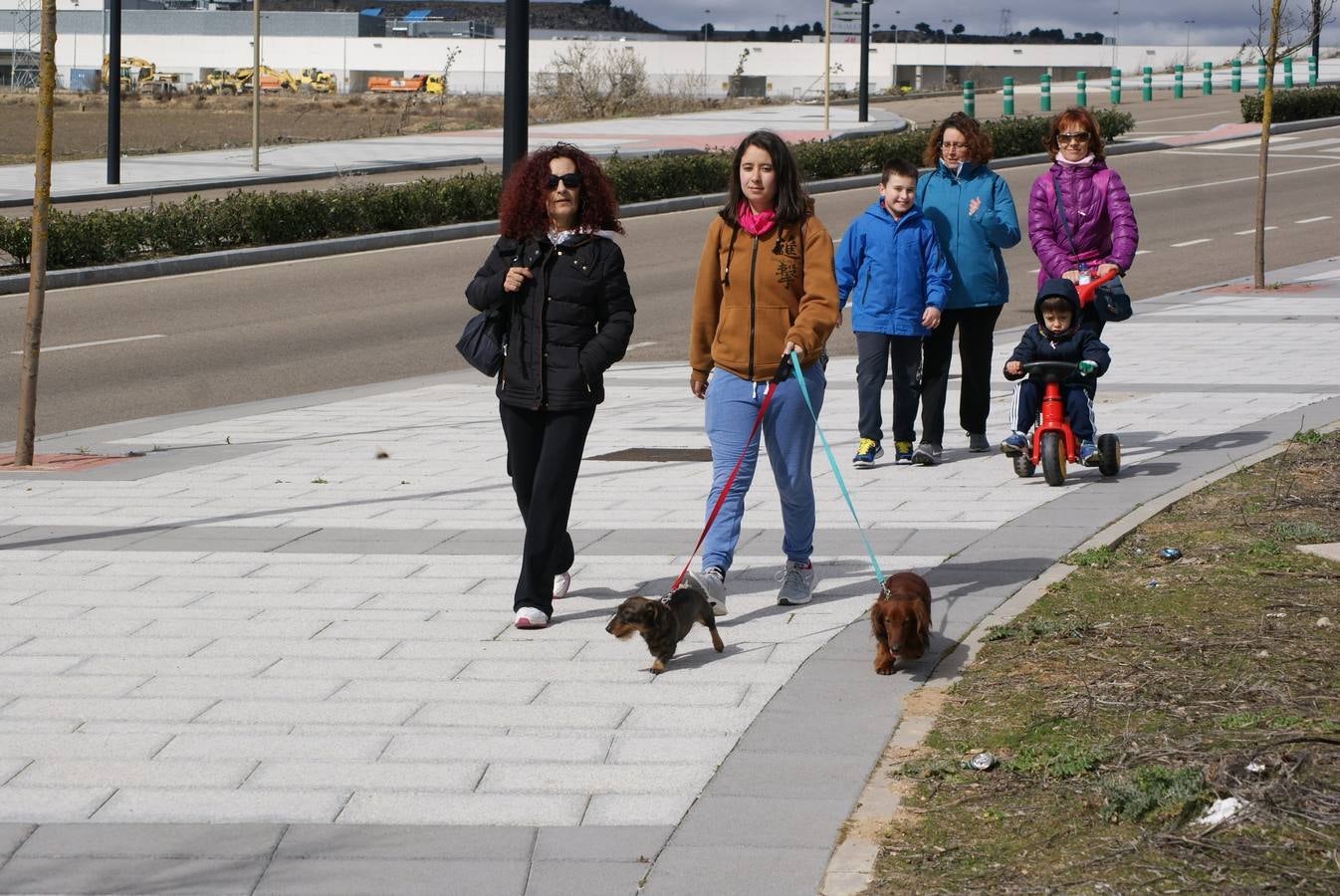 V Marcha Contra el Cáncer de Arroyo de la Encomienda (1/3)