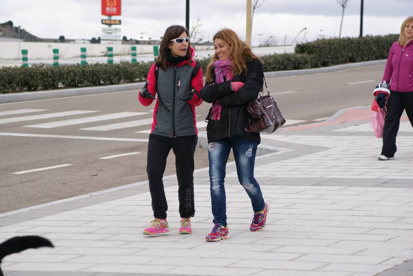 V Marcha Contra el Cáncer de Arroyo de la Encomienda (2/3)