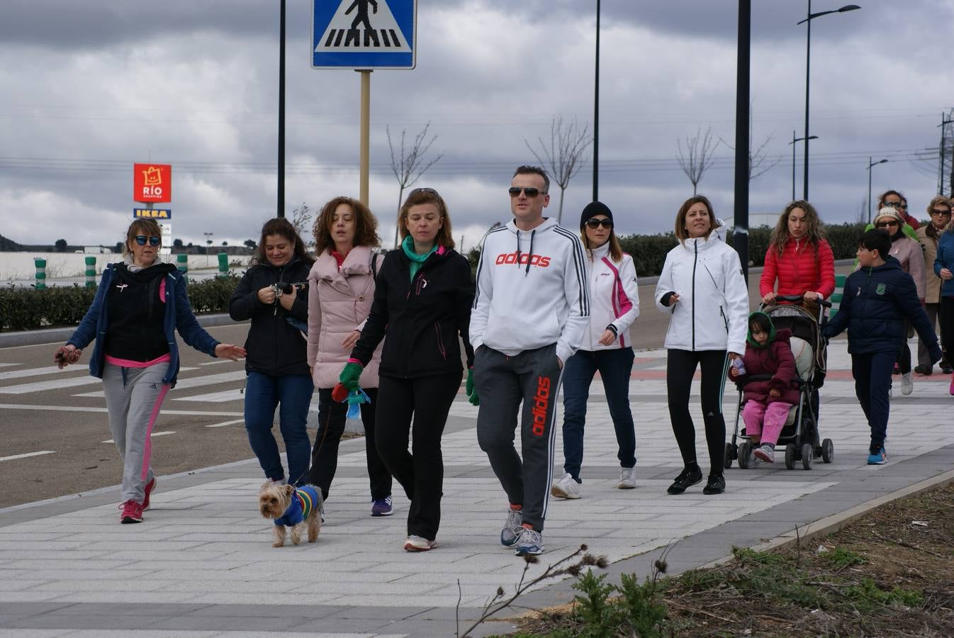 V Marcha Contra el Cáncer de Arroyo de la Encomienda (2/3)