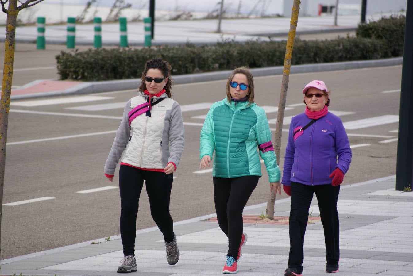 V Marcha Contra el Cáncer de Arroyo de la Encomienda (3/3)