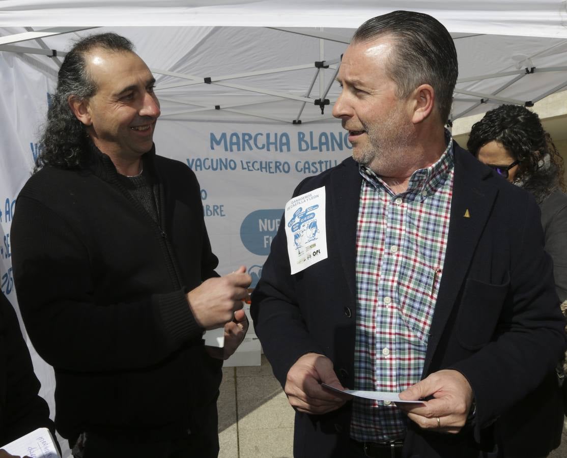 Protesta de ganaderos a las puertas de las Cortes de Castilla y León por la crisis del sector lácteo