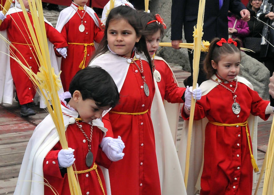Domingo de Ramos en Medina del Campo