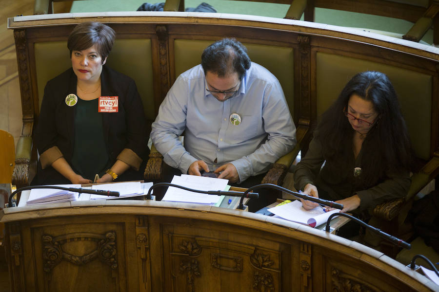 Pleno en el Ayuntamiento de Valladolid