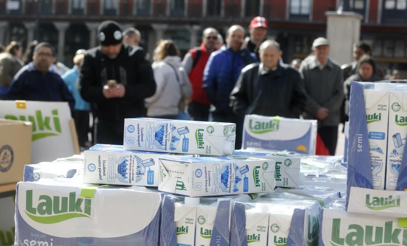 Trabajadores de Lauki reparten 2.000 litros de leche en la Plaza Mayor de Valladolid en protesta por el cierre de la planta