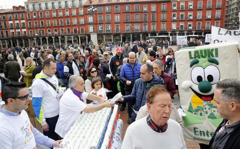 Trabajadores de Lauki reparten 2.000 litros de leche en la Plaza Mayor de Valladolid en protesta por el cierre de la planta