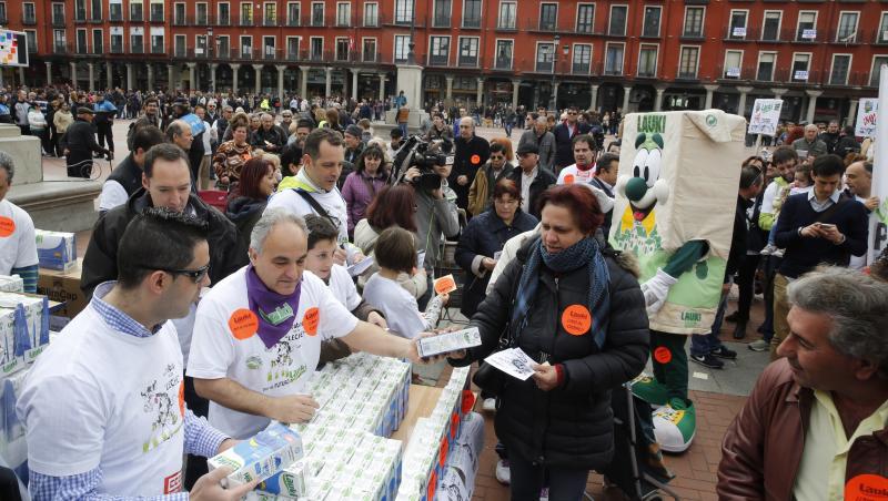 Trabajadores de Lauki reparten 2.000 litros de leche en la Plaza Mayor de Valladolid en protesta por el cierre de la planta