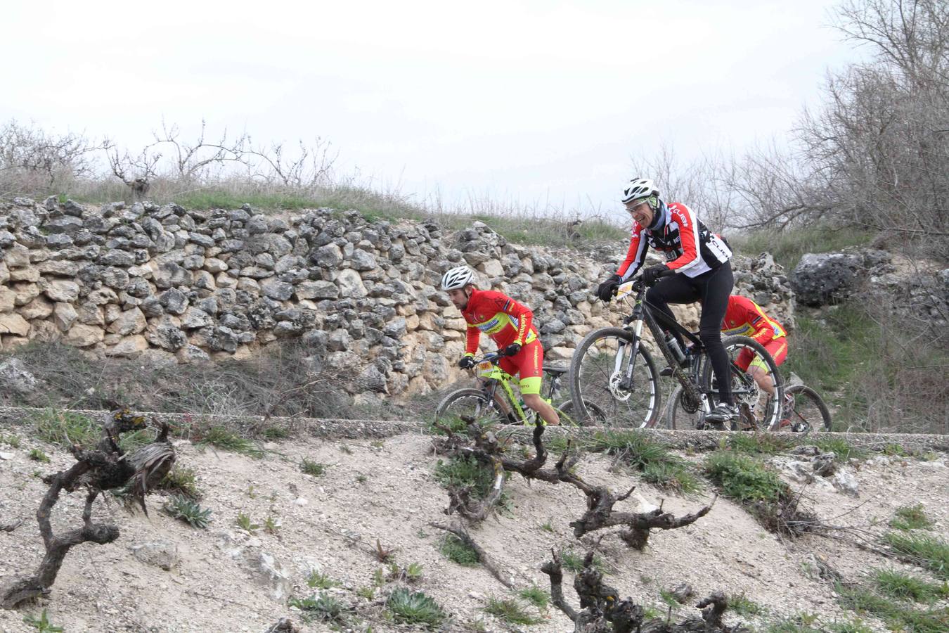Primera etapa de la BTT Series de Valladolid celebrada en Campaspero (1/2)