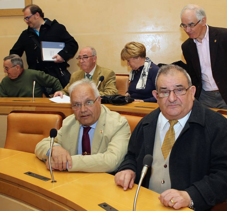 Primera reunión plenaria del Senado de los Mayores