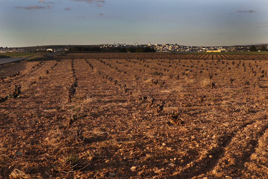 La Ruta del Quijote: Campo de Criptana