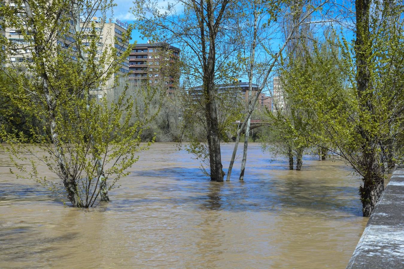 Crecida del Pisuerga a su paso por Valladolid (2/2)