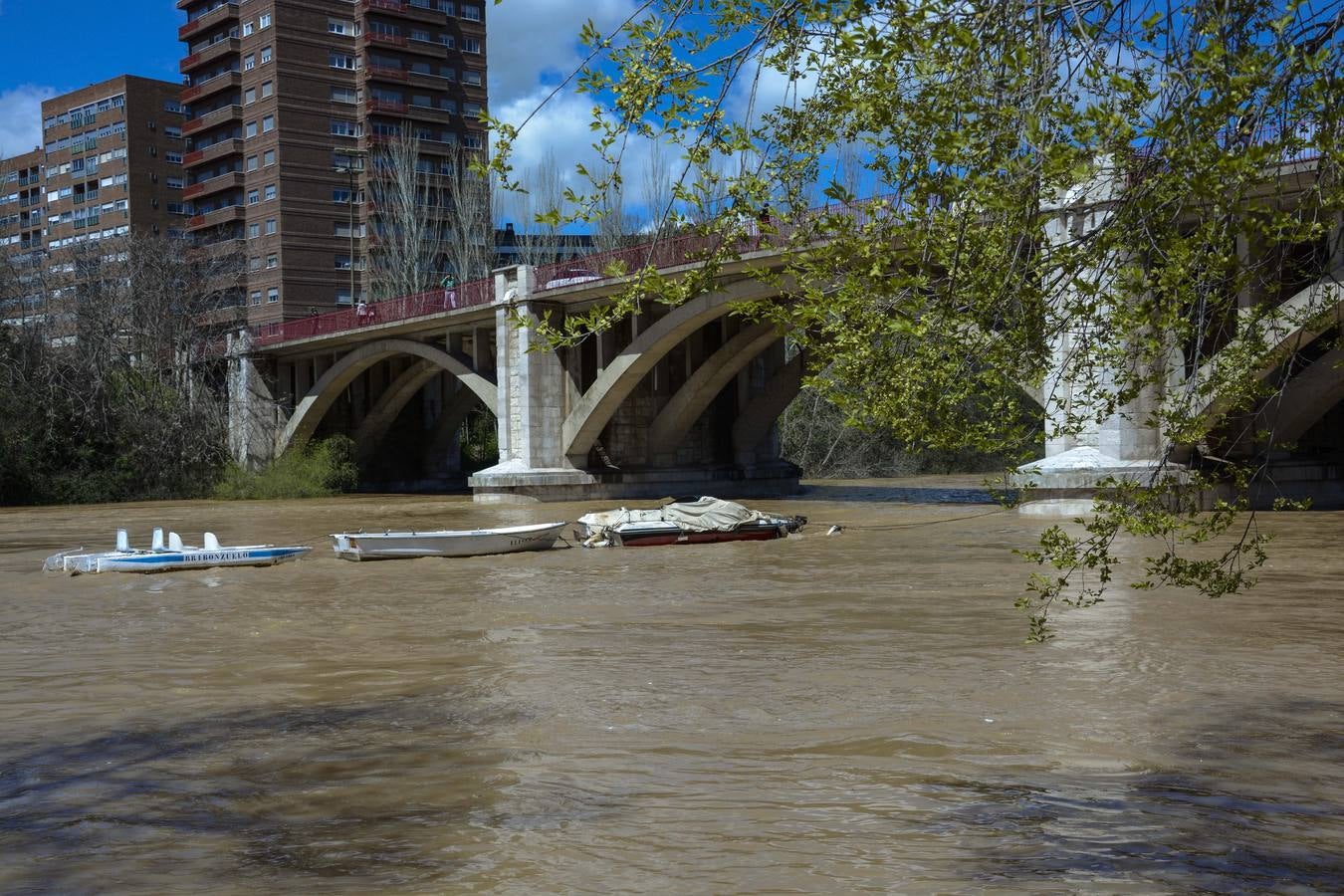 Crecida del Pisuerga a su paso por Valladolid (2/2)