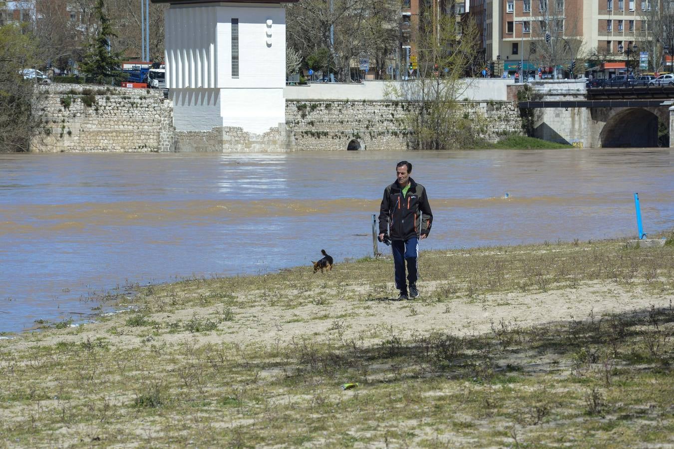 Crecida del Pisuerga a su paso por Valladolid (2/2)