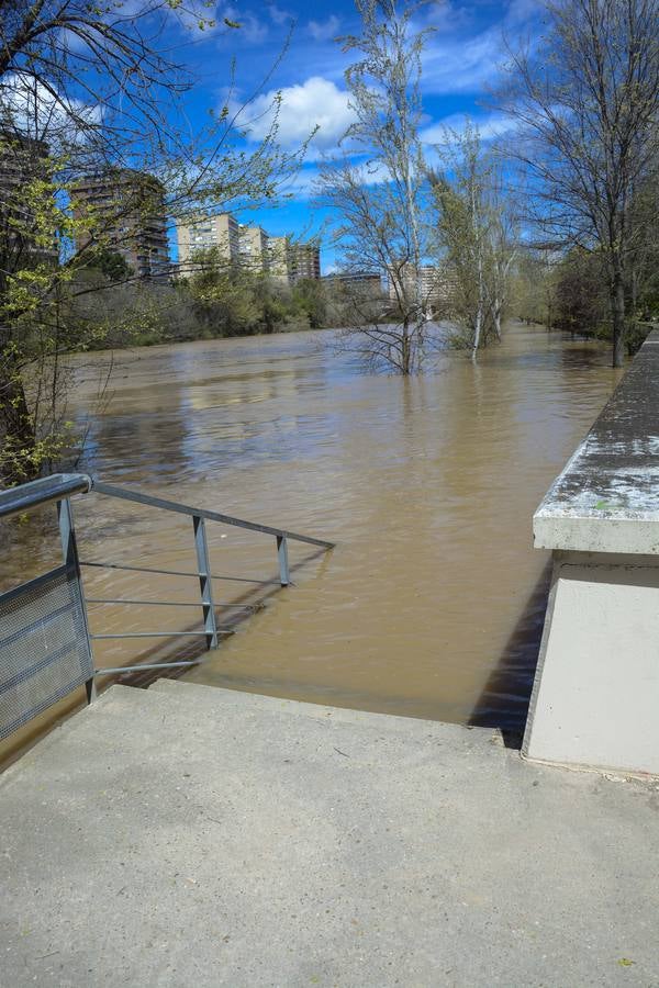 Crecida del Pisuerga a su paso por Valladolid (2/2)