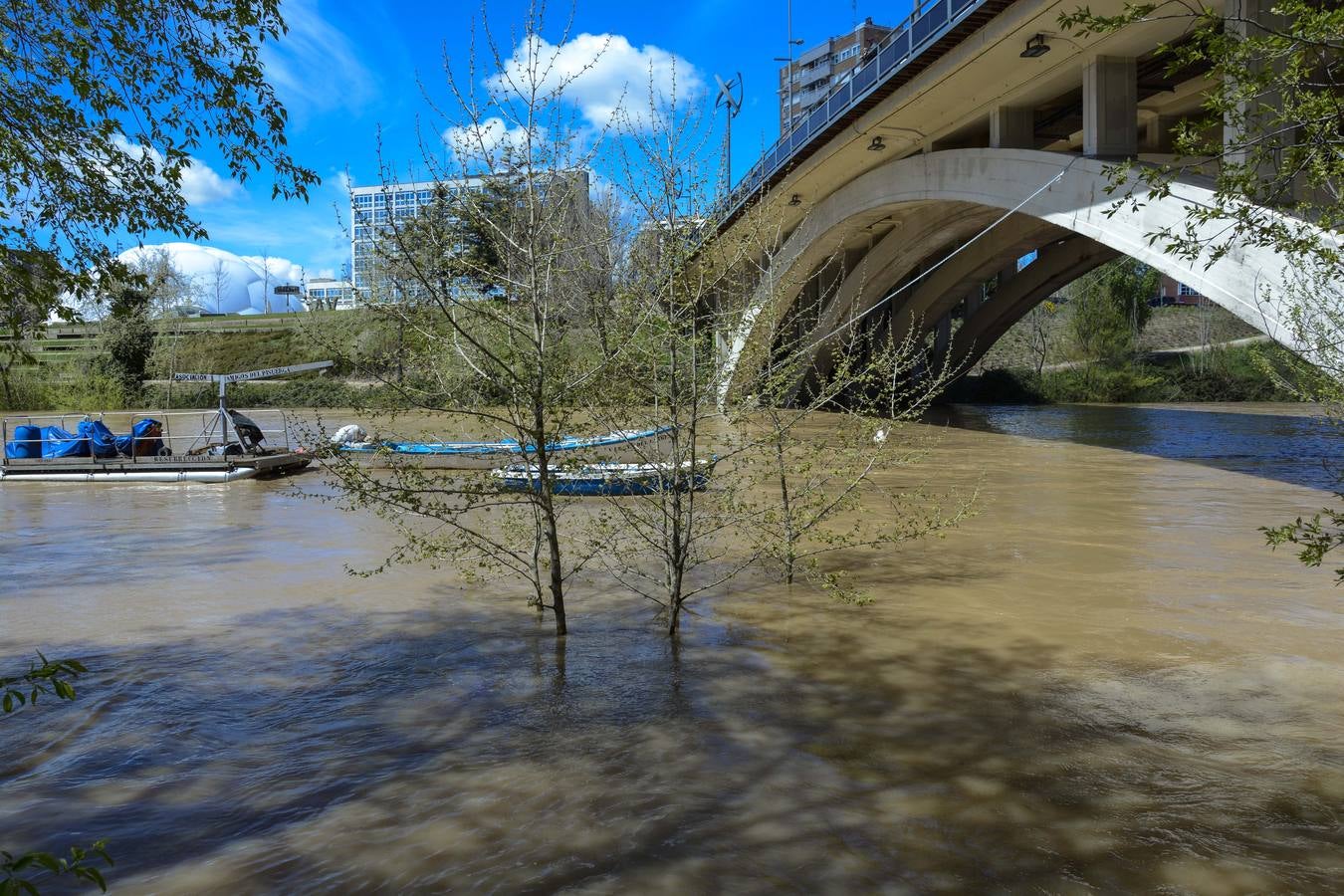 Crecida del Pisuerga a su paso por Valladolid (2/2)